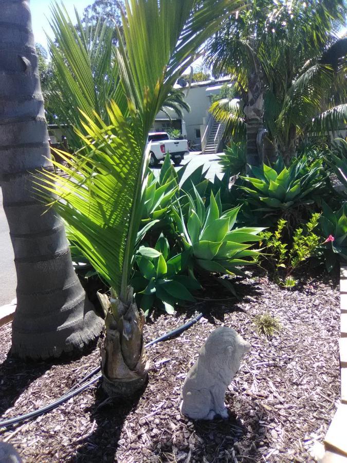 Seahorse Motel Cowes Esterno foto